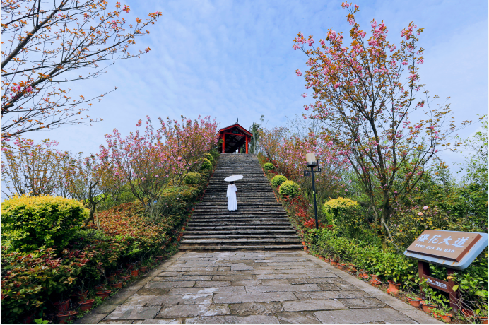 开州区飞鹰堡公园成"网红打卡地"_腾讯新闻