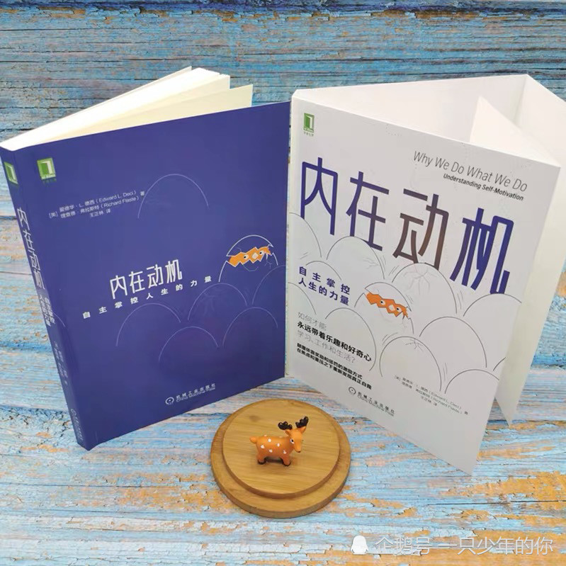 内在动机自主掌控人生的力量