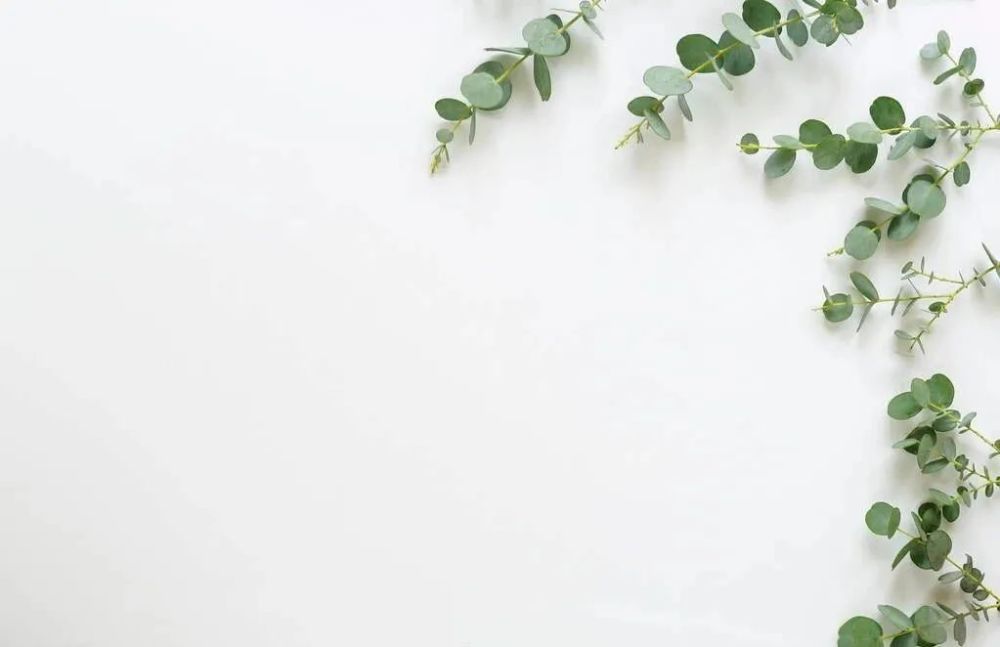 拍摄极简风格照片的6种思路手机和相机通用摄影技巧67