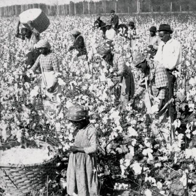 Why Is Learning About Slavery Important