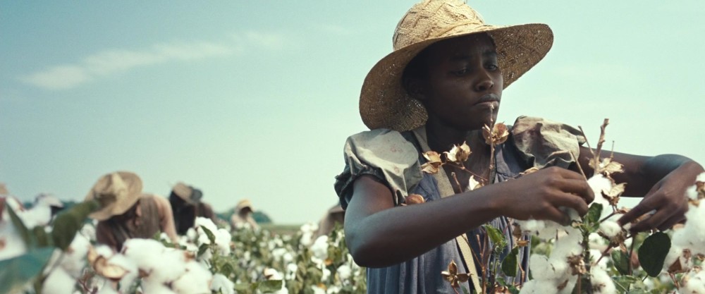 美国为啥非要用黑奴种棉花