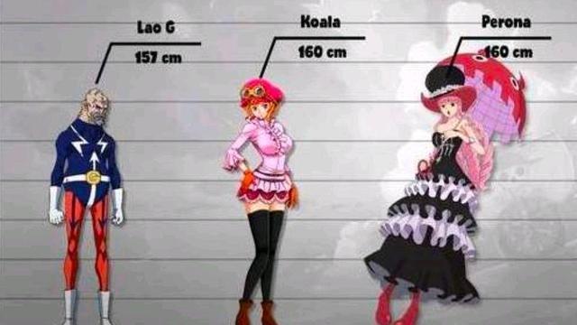 海贼王身高数据索隆身高181cm路飞和几个美女相同