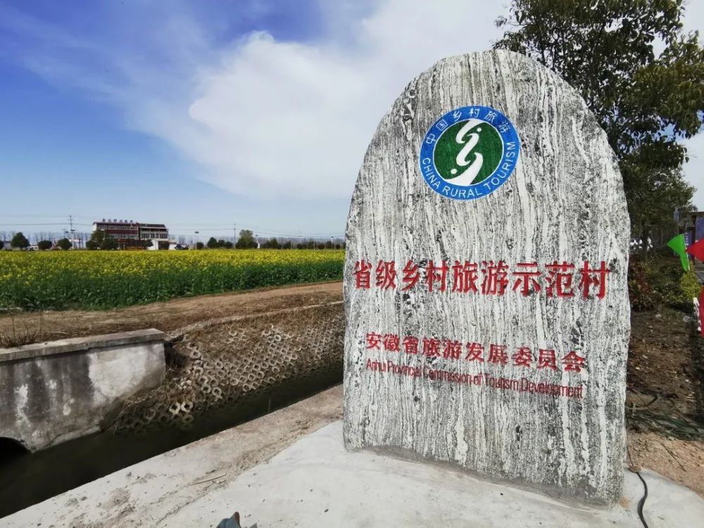 油菜花随风轻舞广袤的旷野上一眼望去关湖村是宿州市和埇桥区的南大门