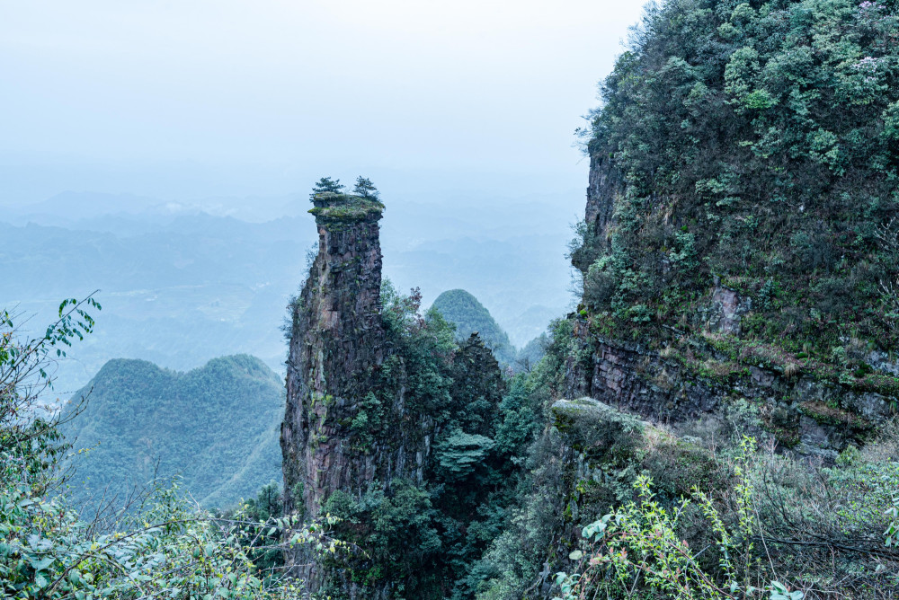 金蟾求凤将军岩川河盖上不光有这些奇峰怪石,也不光是一片草场,它还是