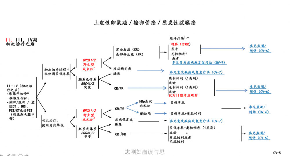 癌的初次治療後建議;考慮對brca1/2突變的透明細胞癌或癌肉瘤增加分支