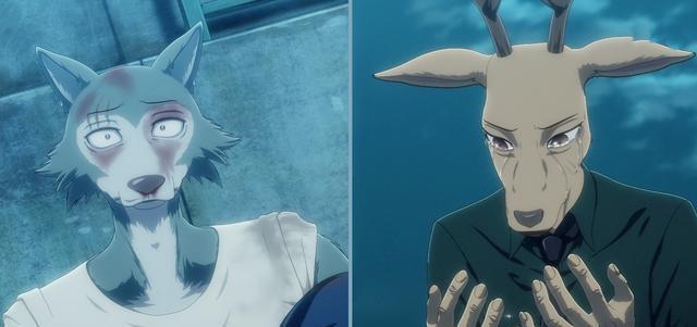 动物狂想曲 结局拉垮 动画党对剧情不满 但cp粉却感到兴奋 腾讯新闻