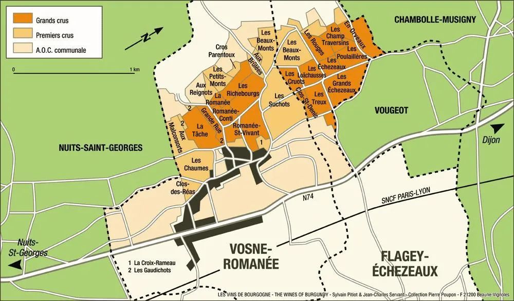 夜丘aoc酒标识别二