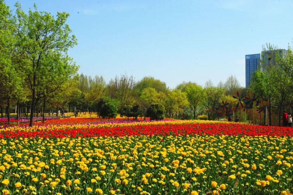 中牟绿博园问花节今天启幕