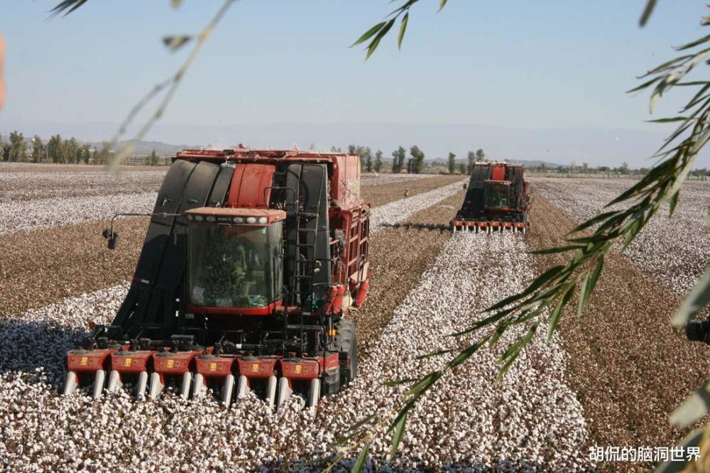 我国每年进口200万吨棉花,为何新疆棉花还要不停地出口?