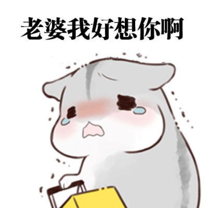 有的说不能,这时一个平时不太聊天的人说了一句:我倒是想跟他们做朋友