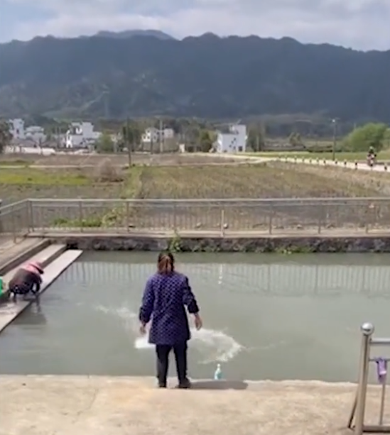 安徽一狗子掉进粪坑一身臭主人无奈揪着耳朵将其甩入水里洗澡