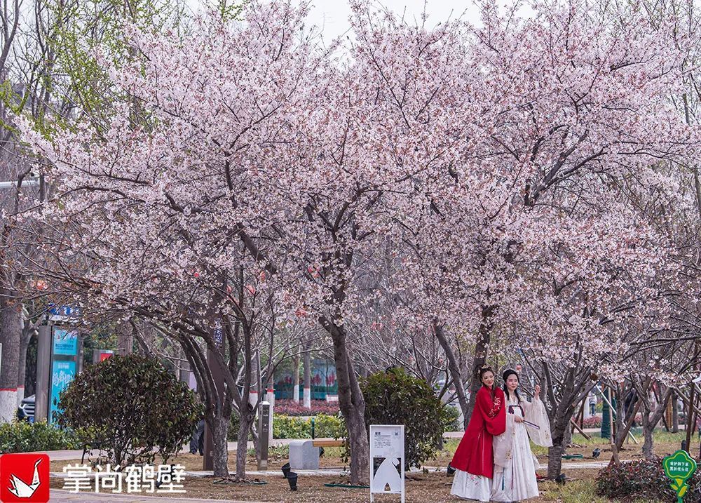 河南城市排行_河南宜居城市排名出炉,信阳排名引起网友争议