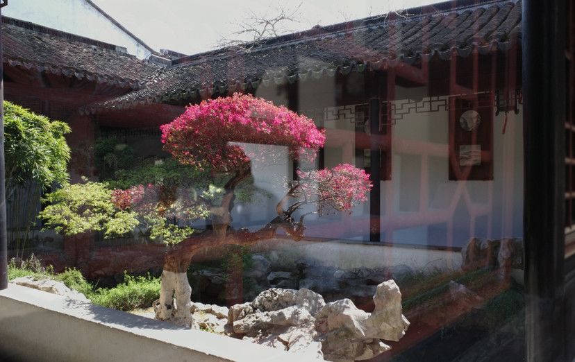 我在东莞苏州游玩你所知道的现代建筑的最后大师苏州博物馆