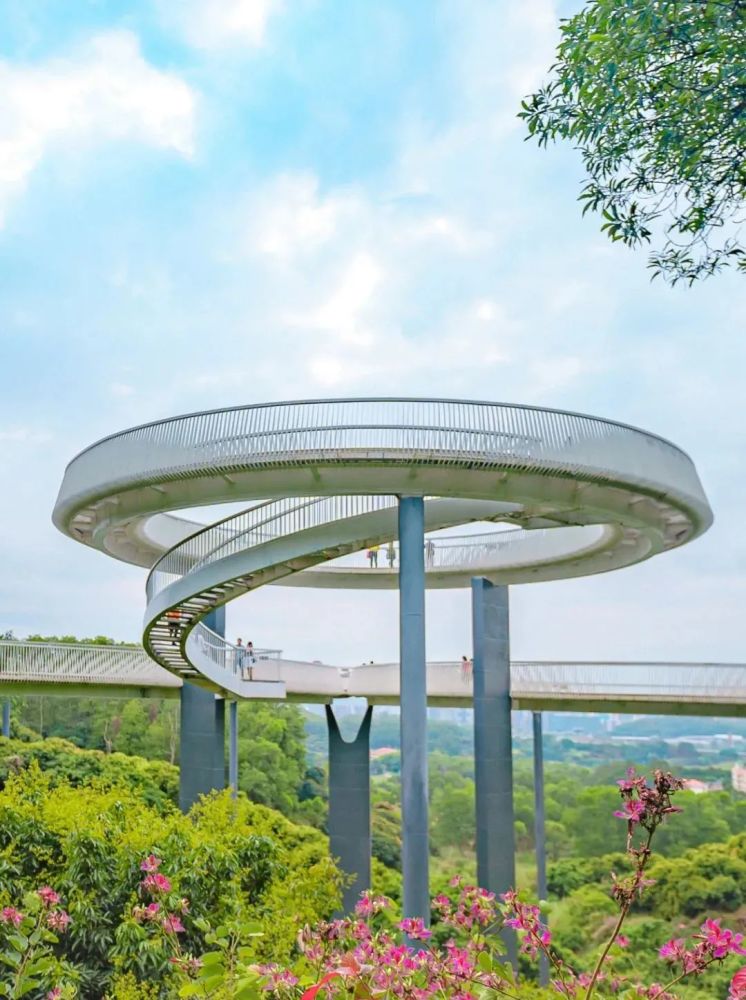 深圳这座悬浮玻璃桥火了天黑就发光