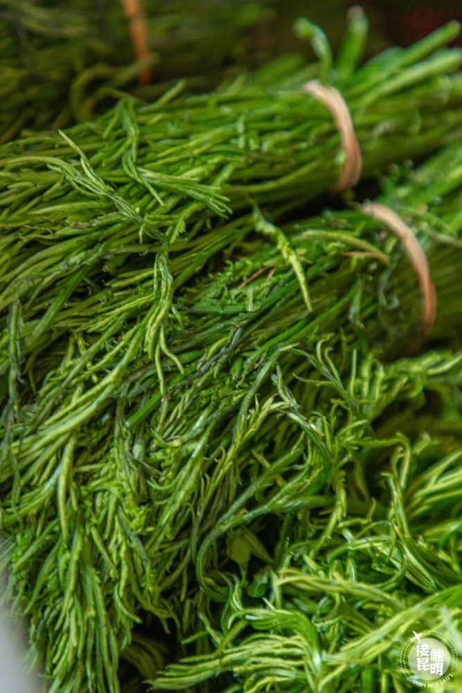 荷叶,刺五加,皂角尖,荠菜,香柳,西洋菜,沙松尖,豌豆尖儿,枸杞尖儿