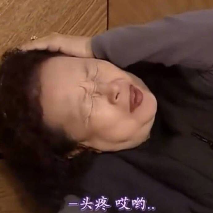 表情包罗文姬女士表情包合集2