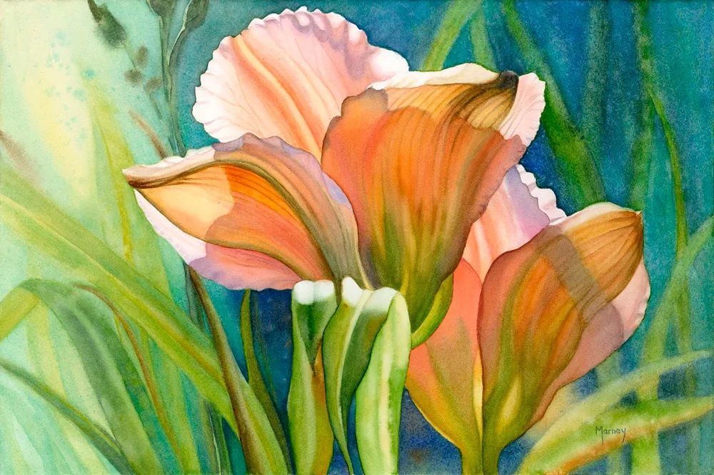 55岁拿起画笔成为最懂花的女人笔下绚烂唯美的水彩花卉世界给人精神上