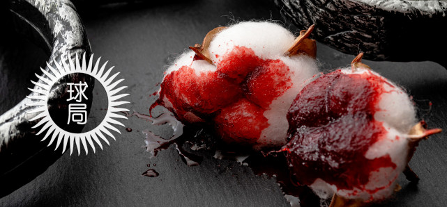 1876-带血的棉花作者:那日苏制图:孙绿 / 校稿:朝乾 / 编辑:养乐多