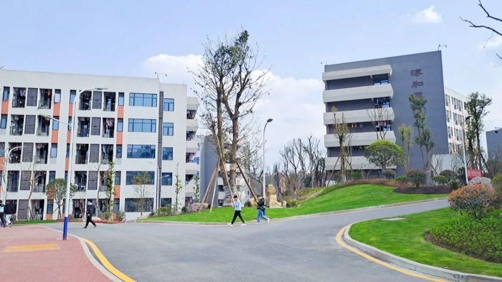 泸职院│喜讯!我校新增3名四川省学术和技术带头人后备人选