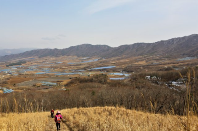 裸木的天堂韩国江原道杨口郡