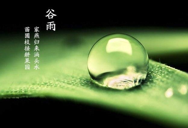 20句穀雨祝福唯美暖心句子