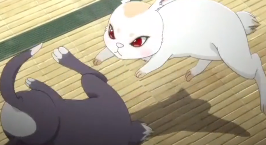 那就是当初魏无羡在藏书阁的时候送了蓝忘机两只小兔子,虽然云深不知