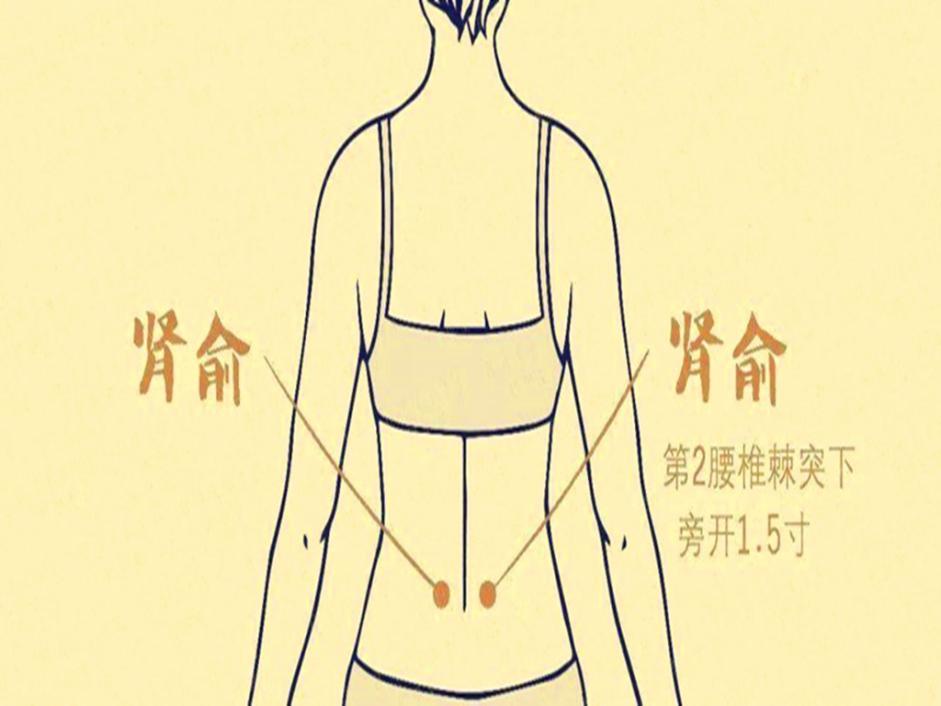 足太陽膀胱經 前病後治非常重要的經絡_騰訊新聞