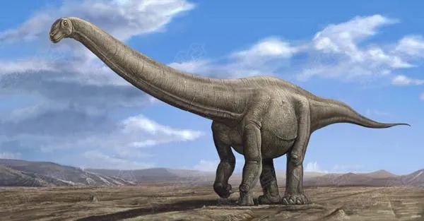 每天一只中国龙续篇2大夏巨龙黄河边的巨人