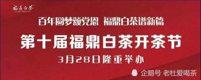 2021年第十届福鼎白茶开茶节明天开幕