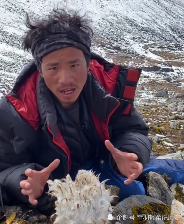 西藏冒险王王相军生前经典老照片:喜马拉雅峰日照金山,西域冰川雪莲花