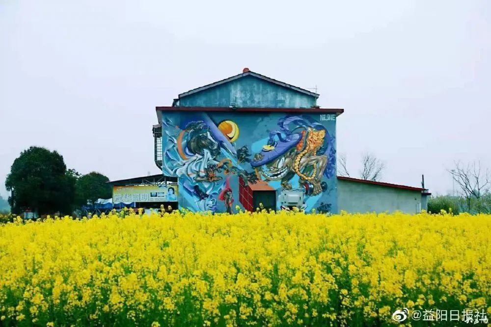 厉害了南县一乡村成为乡村振兴样板村靠涂鸦点燃夜经济