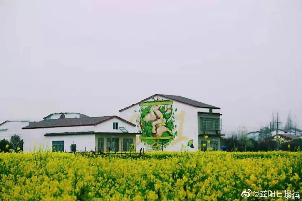 厉害了南县一乡村成为乡村振兴样板村靠涂鸦点燃夜经济