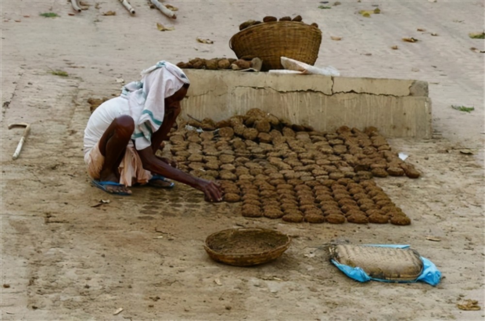 印度特产牛粪饼两盒60元想要打开中国市场预言会抢购