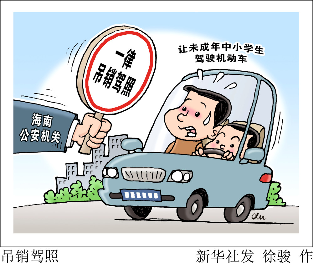 图表漫画法治吊销驾照