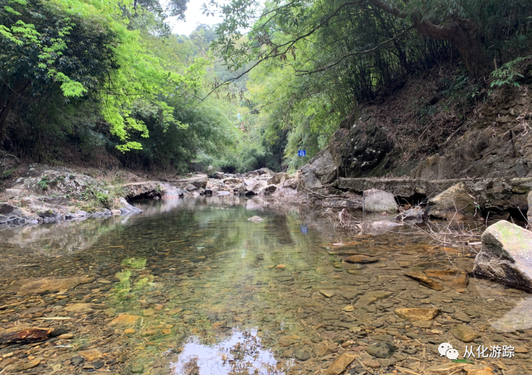 秘境通幽溯溪探源走進溪頭村深處