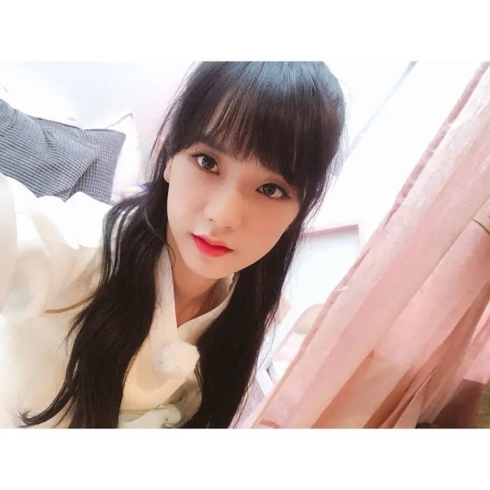 jisoo金智秀韩服大家闺秀