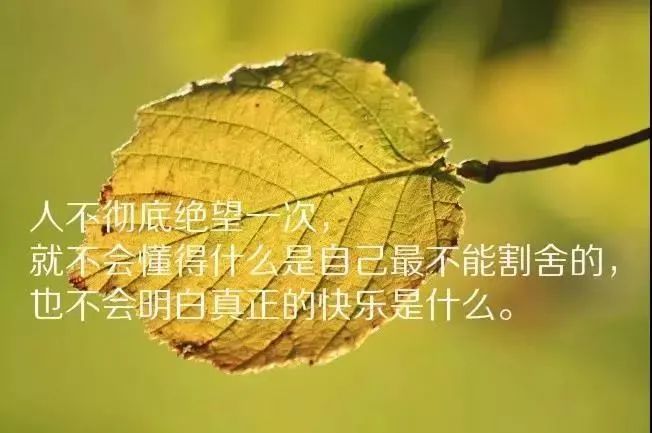 發朋友圈的心情句子短句,適合發朋友圈的情感短句