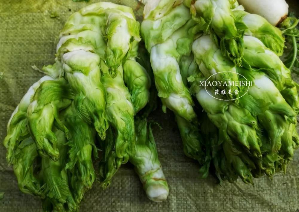 被称为"补钙小能手",它就是春天时令蔬菜——儿菜