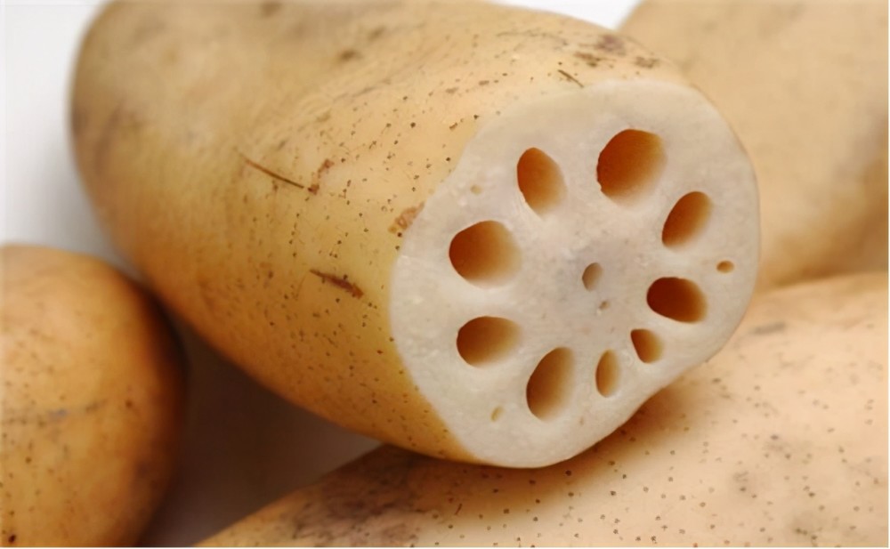 切开莲藕的一段,从横截面上数一下,如果大小孔洞一共有七个,就是七孔