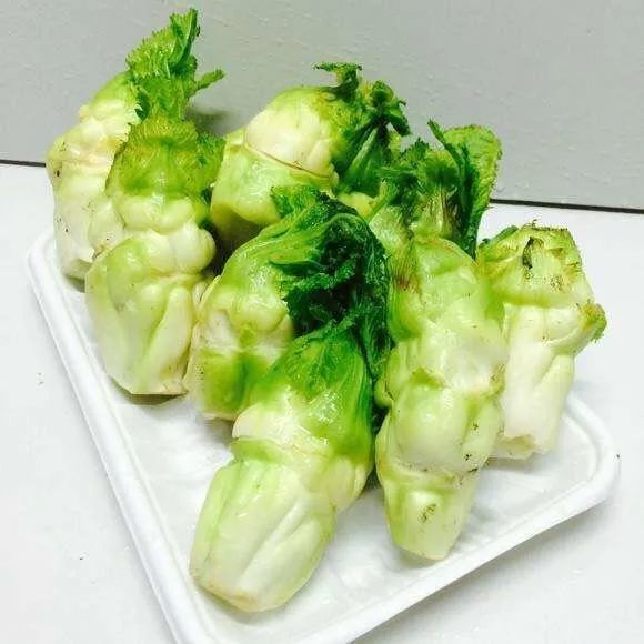 儿菜 图片为读者提供10 蒿子推荐人:小白,顿感▲图片为读者提供蒿子