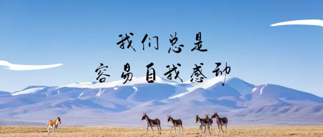 我们总是容易自我感动