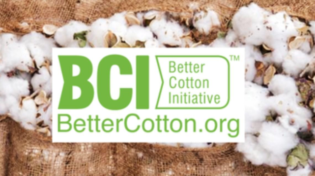 bci是个什么组织它为什么要恶心中国