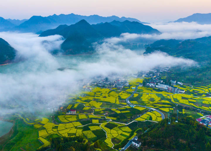 早读社丨中国制药集团买下德国制药厂 生产新冠疫苗