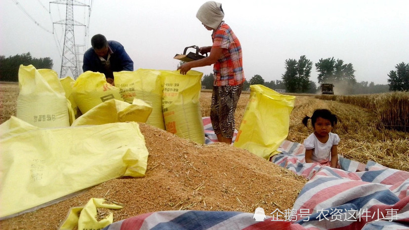 大事不好 全球通胀加剧 粮价暴涨 我国粮价会怎样 权威答复 腾讯新闻