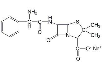 小小青霉素解决猪场大问题,青霉素钠和钾如何选择,哪个更好?