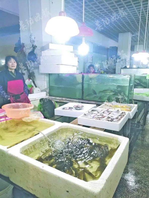 淡水鱼价格年后悄然上涨