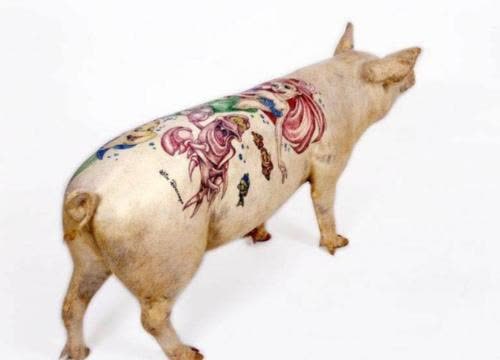 他给活猪纹身因花纹独特被香奈儿买走做成限量皮包一张皮卖70万