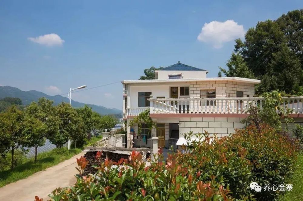 万亩梨花开果园邀您来