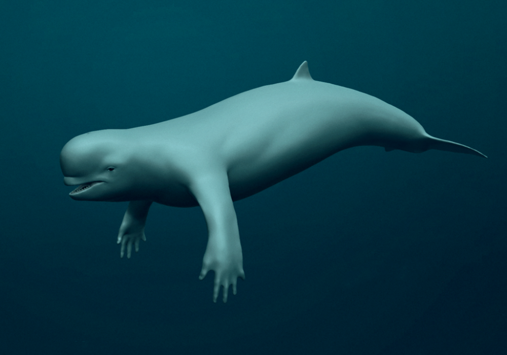 隐藏在人类禁区南极的秘密:日本捕鲸船目击到的人形生物宁根_腾讯新闻