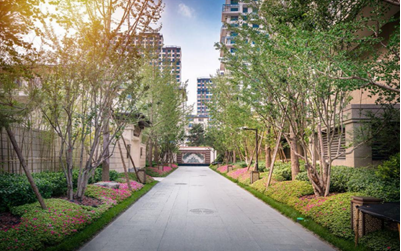 开盘直击毓秀雅苑全城瞩目再续传奇